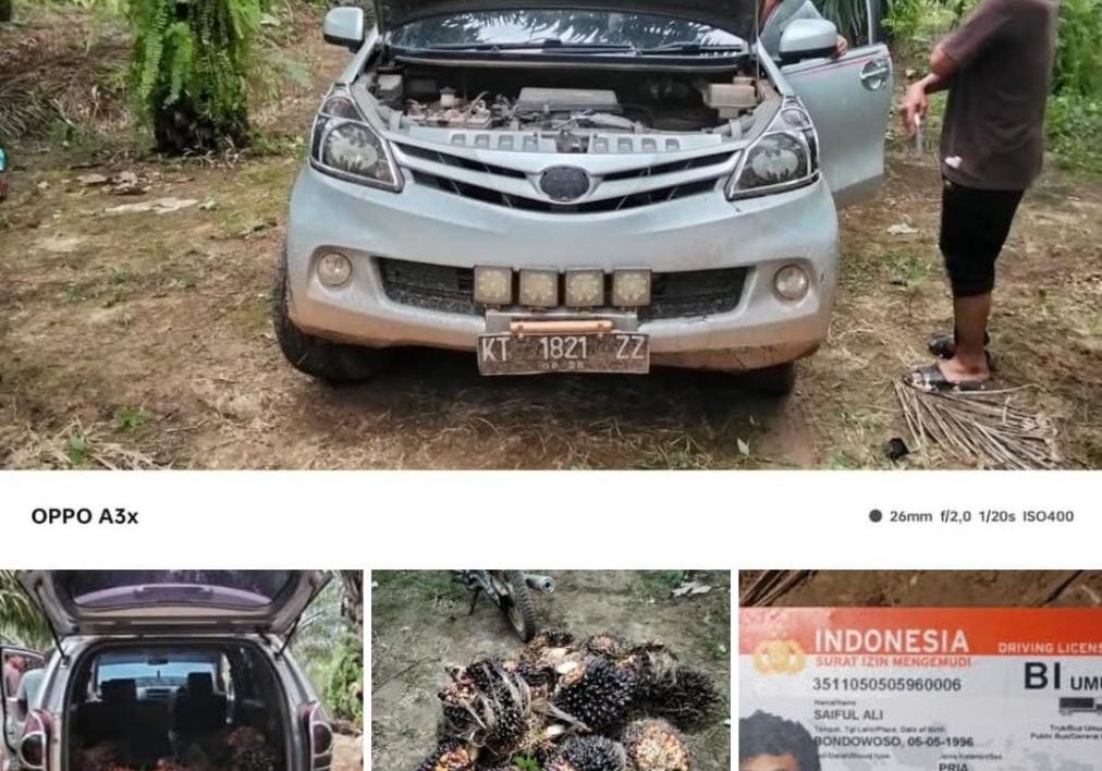 Sumber: Facebook Benua Puhun